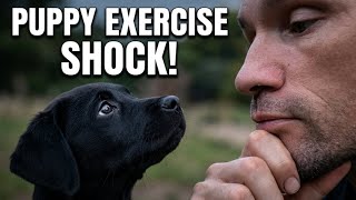 The Shocking Truth! Are You Over-Exercising Your Puppy?