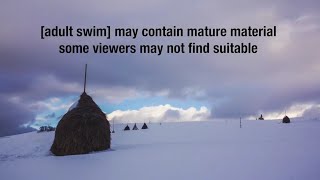 Adult Swim Us - Night Continuity February 20, 2025