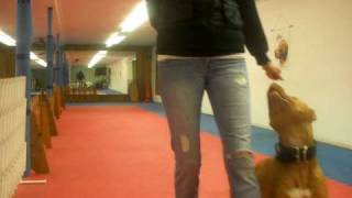 forging/heeling (an attempt to adjust position)