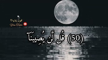 قل لن يصيبنا إلا ماكتب الله لنا/حالات واتس اب قران كريم بصوت جميل وخاشع/جديد مقاطع استغرام2021
