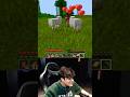 Minecraft in parallel world 😂#shorts