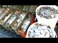 HUGE Coin Dump Worth Thousands Of Dollars!