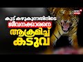 Trivandrum zoo Tiger Attack |കൂട് കഴുകുന്നതിനിടെ ജീവനക്കാരനെ ആക്രമിച്ച് കടുവ |Tiger attack in Kerala