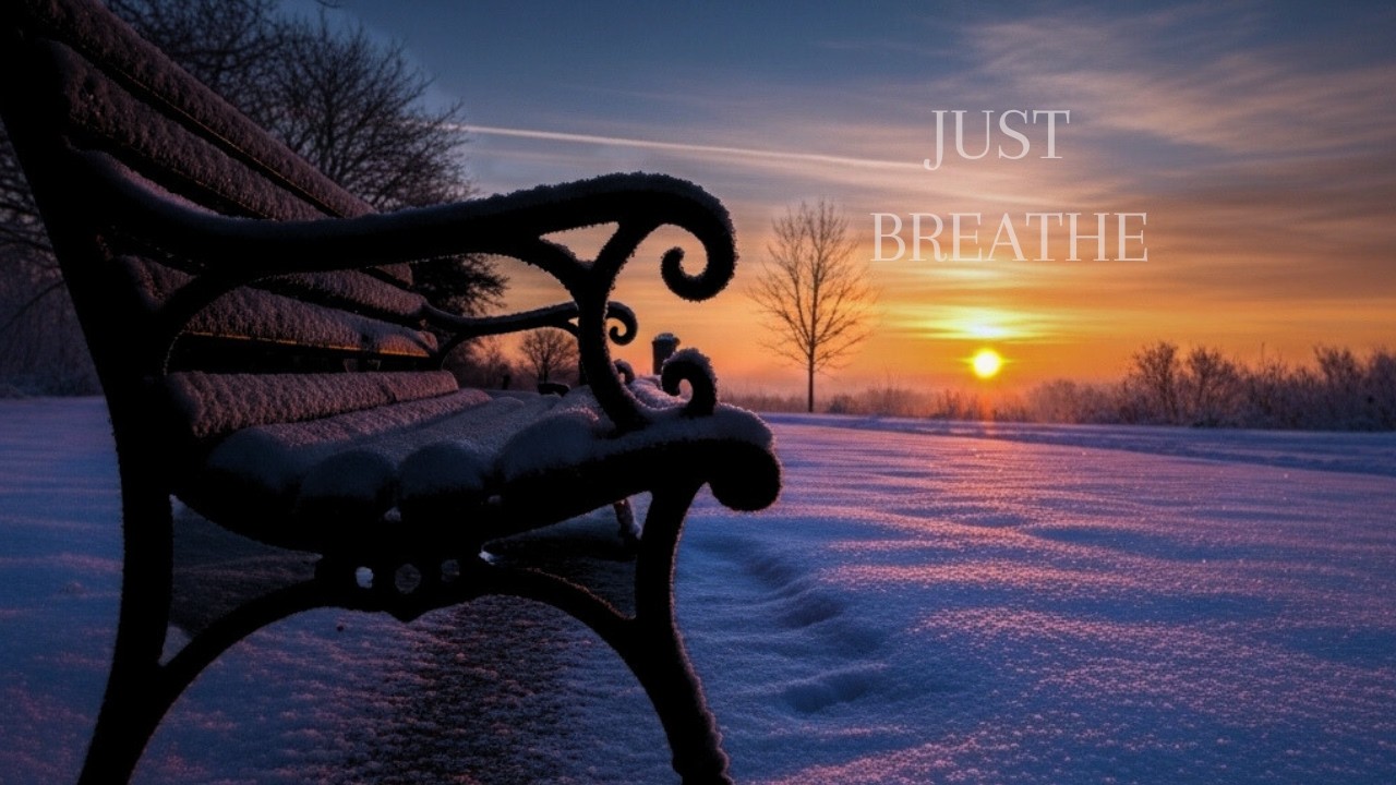 Give Your Mind a Break ❄️ Peaceful Winter Sunset for Deep Relaxation / Taylor Evans