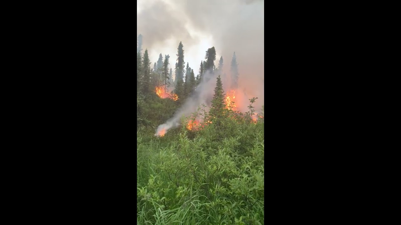 Firefighter Uses Flare Gun To Ignite Fuels In A Successful Defensive Burning Operation 