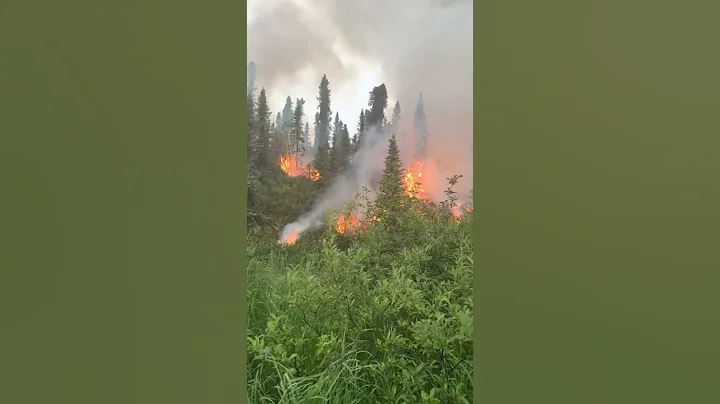 Firefighter uses flare gun to ignite fuels in a successful defensive burning operation.