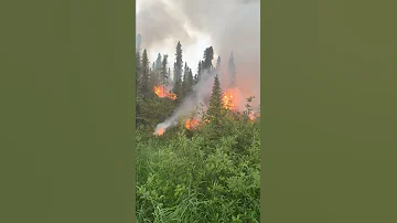 Firefighter Uses Flare Gun To Ignite Fuels In A Successful Defensive Burning Operation 