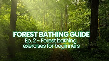Forest Bathing Guide | Ep. 2 Forest bathing exercises for beginners