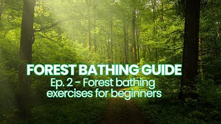 Forest Bathing Guide | Ep. 2 Forest bathing exercises for beginners