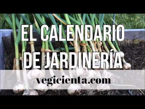 Video: Cómo Hacer Un Calendario De Jardinero