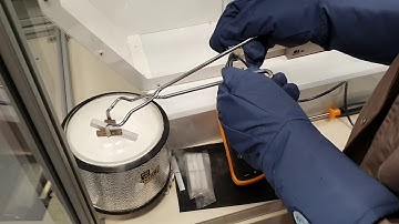 CIP - Handling and Temperature Metering of Liquid Nitrogen Specimens