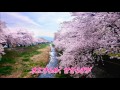 桜の川/三代沙也可/カバー曲 ekubo888