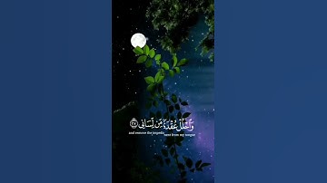 (قَالَ رَبِّ اشْرَحْ لِي صَدْرِي وَيَسِّرْ لِي أَمْرِي) حالات واتس اب قرآن كريم بصوت شريف مصطفى.