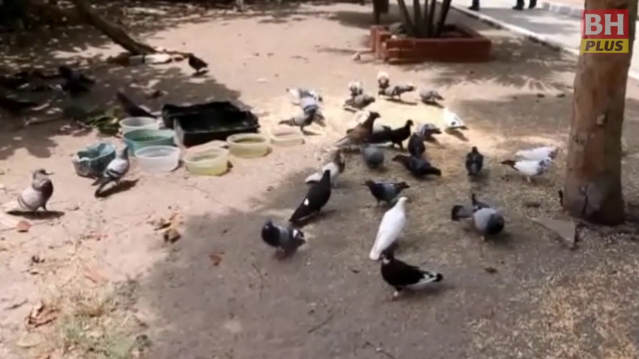 Pulau Besar masih jadi tempat pemujaan