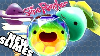 There are 3 new slimes coming in the slime rancher 0.6.0 update when
glass desert arrives! josh shows you mosaic slime, tangle dervish a...