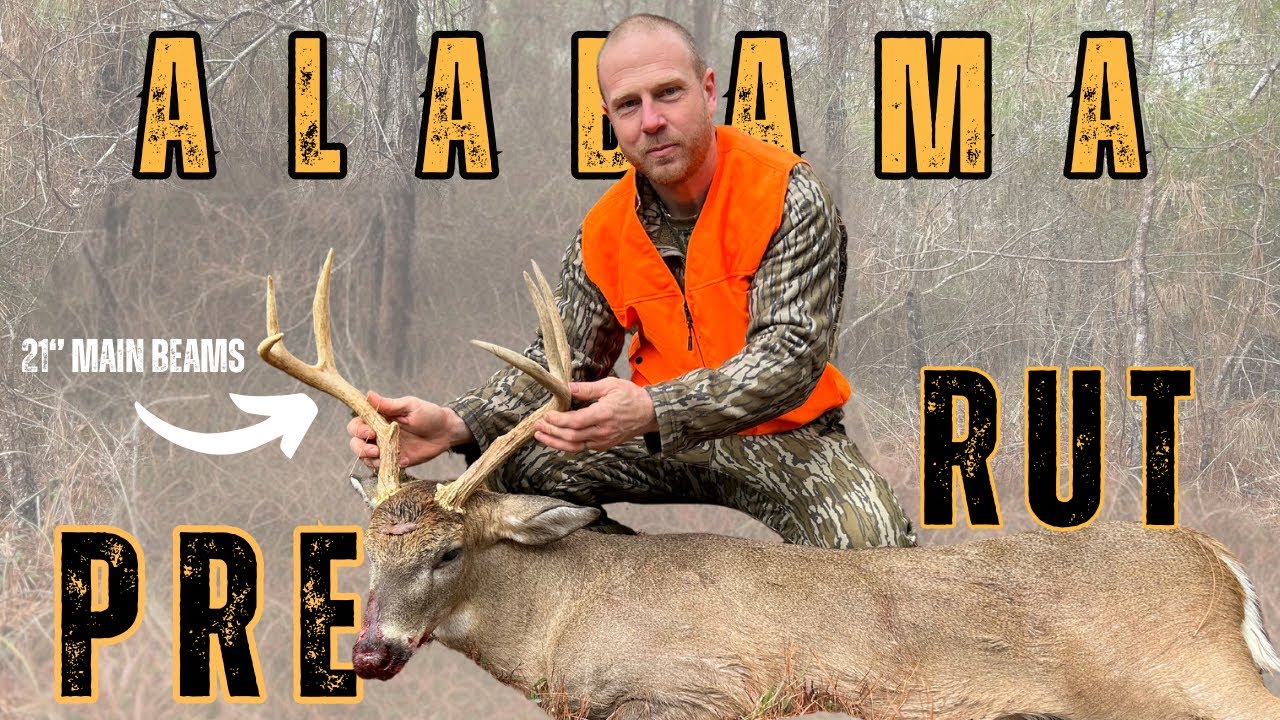 Central ALABAMA RUT Hunting from a SADDLE, HANG and Hunt - YouTube