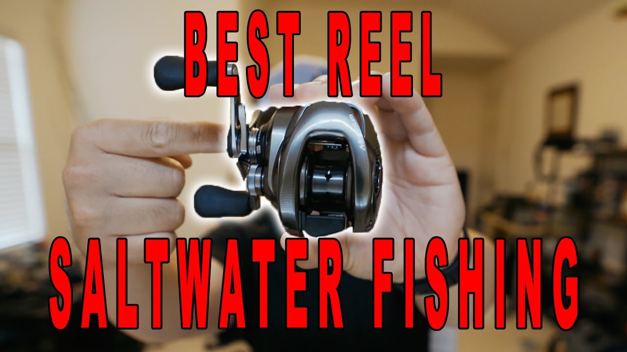 Saltwater Baitcasting Reels: Pros & Cons, When To Use Them