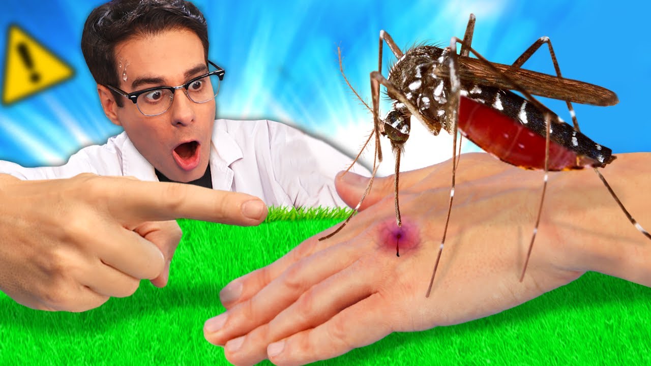 ME PICÓ UN MOSQUITO Y LO ABRÍ POR LA MITAD para ver qué hay dentro