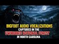 BIGFOOT VOCALIZATION AUDIO RECORDINGS FROM THE UWHARRRIE NATIONAL FOREST IN NORTH CAROLINA 2026