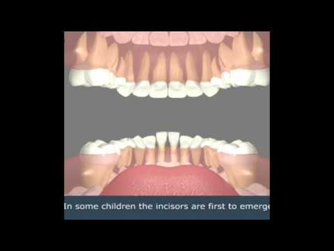 Video: How In Children Milk Teeth Change To Molars
