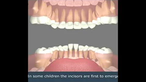 The process of growing baby teeth to adult teeth: Encino Dentist Office - DayDayNews