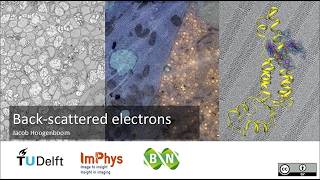 Back-scattered electrons