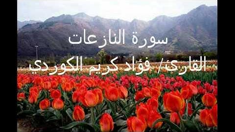 سورة النازعات بصوت عذب وجميل للقارئ فؤاد كريم الكوردي