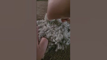 2+ minutes of carpet scratching and brushing asmr #asmr #asmrlofi #asmrscratching #asmrbrushing