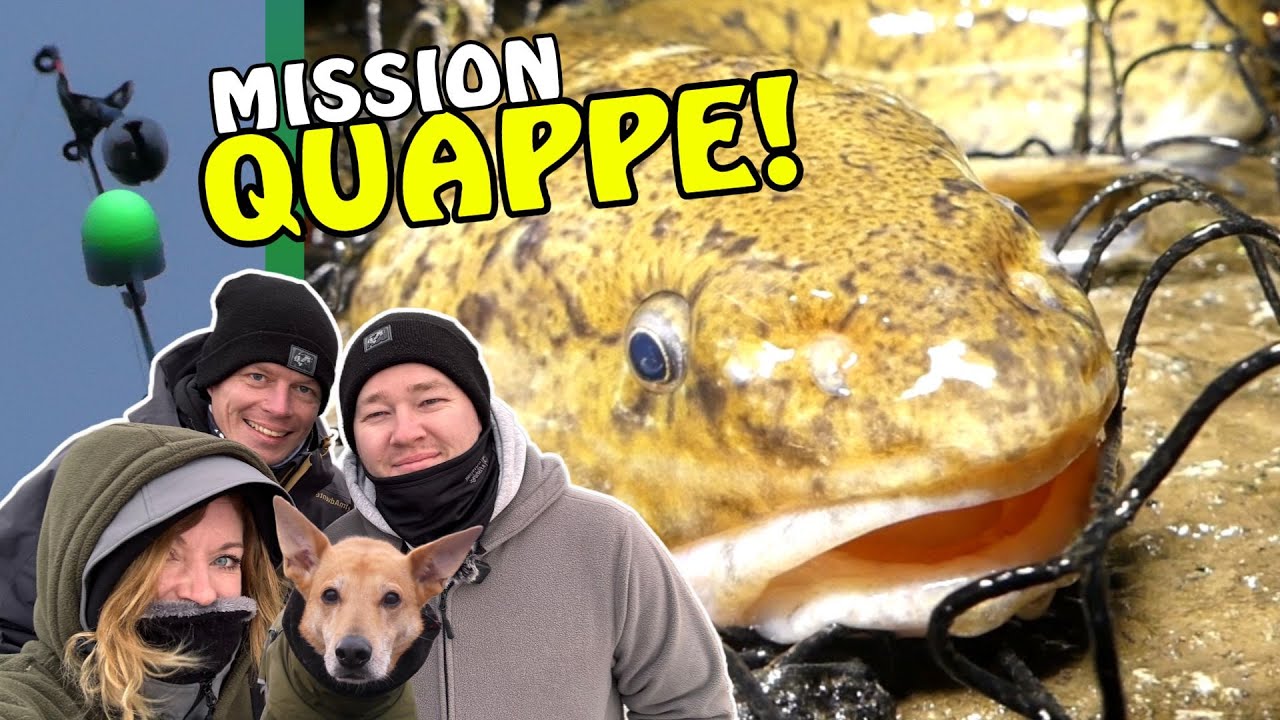 Erfolgreich auf QUAPPE an der Oder! Köfi vs. Tauwurm! OSA in Mission Allround Angeln