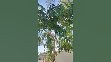 #دعاء_يوم_الجمعة #خليك_في_البيت #سورة_الكهف #جمعة_مباركة #جمعة_طيبة #ستوريات_الجمعة