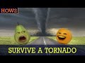 HOW2: How to Survive a Tornado!
