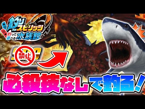 "必殺技なし"の方が釣れる！？意外過ぎる結果が・・・【釣りスピリッツ水族館】実況Part148