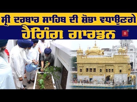 Sri Darbar Sahib ਨੇੜੇ ਪ੍ਰਦੂਸ਼ਣ ਨੂੰ ਖਤਮ ਕਰਨਗੇ Hanging Garden