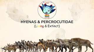 HYENAS AND PERCROCUTIDAE: Size Comparison with Conservation Status (LIVING & EXTINCT)