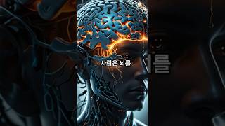 사람은 뇌를 10%만 쓴다고? #shorts