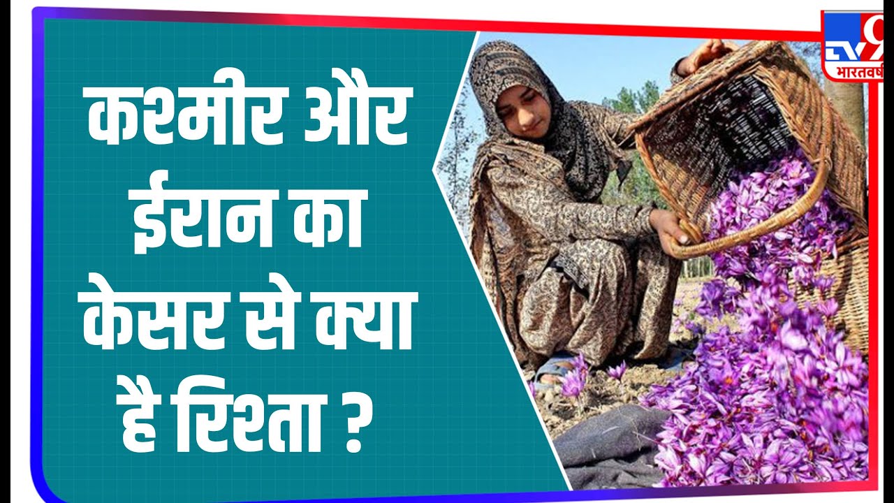 ईरान उगाता है दुनिया का 95 फीसदी केसर, जानिए क्या है ईरान और कश्मीर का केसर से रिश्ता ?