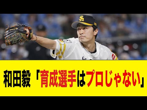 和田、ソフトバンクの育成選手・制度に苦言を呈する.....【2ch 5ch野球】【なんJ なんG反応】