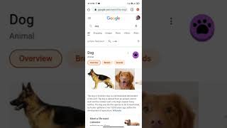 #google fantastic features dog foot print on screen  #dog lover screenshot 4