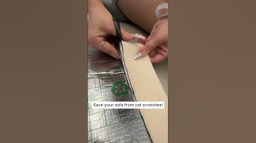 Save Your Sofa: Protect It from Cat Scratches Effortlessly!