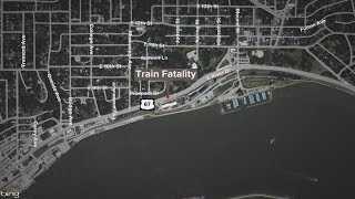 Man killed after being struck by train in Village of East Davenport