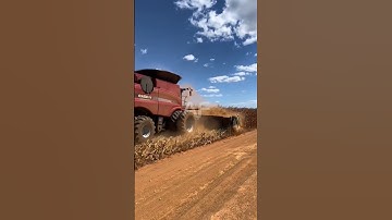 🌽 Marvelous Harvest: Corn Harvesting Machine at Work 🌽 #shorts #cornharvester #harvesterMachine