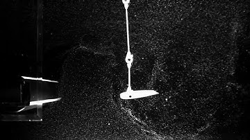 A Passive Double Pendulum Walks in the Wake of a Cylinder
