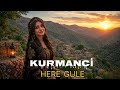 Kurmancî Here Gulê اغنية كورمانجي هرا كولي Here Gule 