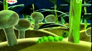 Babytv - Vegibugs - Firefly