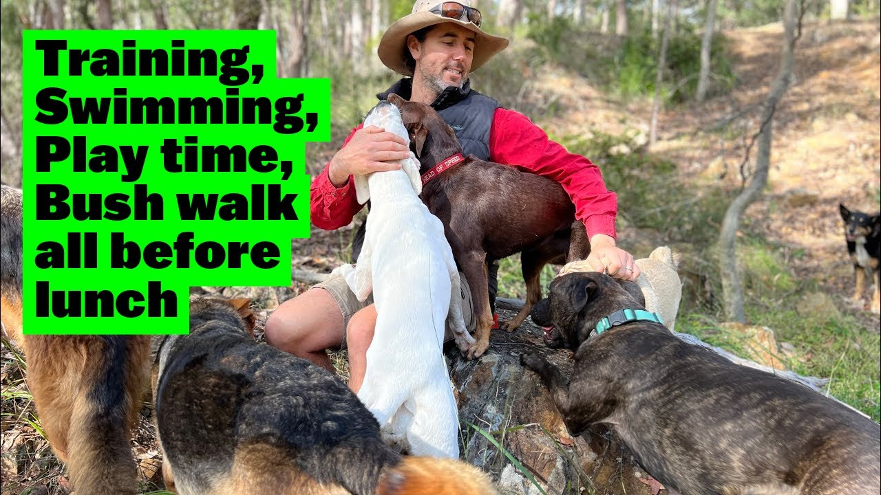 Training, Swimming, Playground Time, Bush Walk Before Lunch