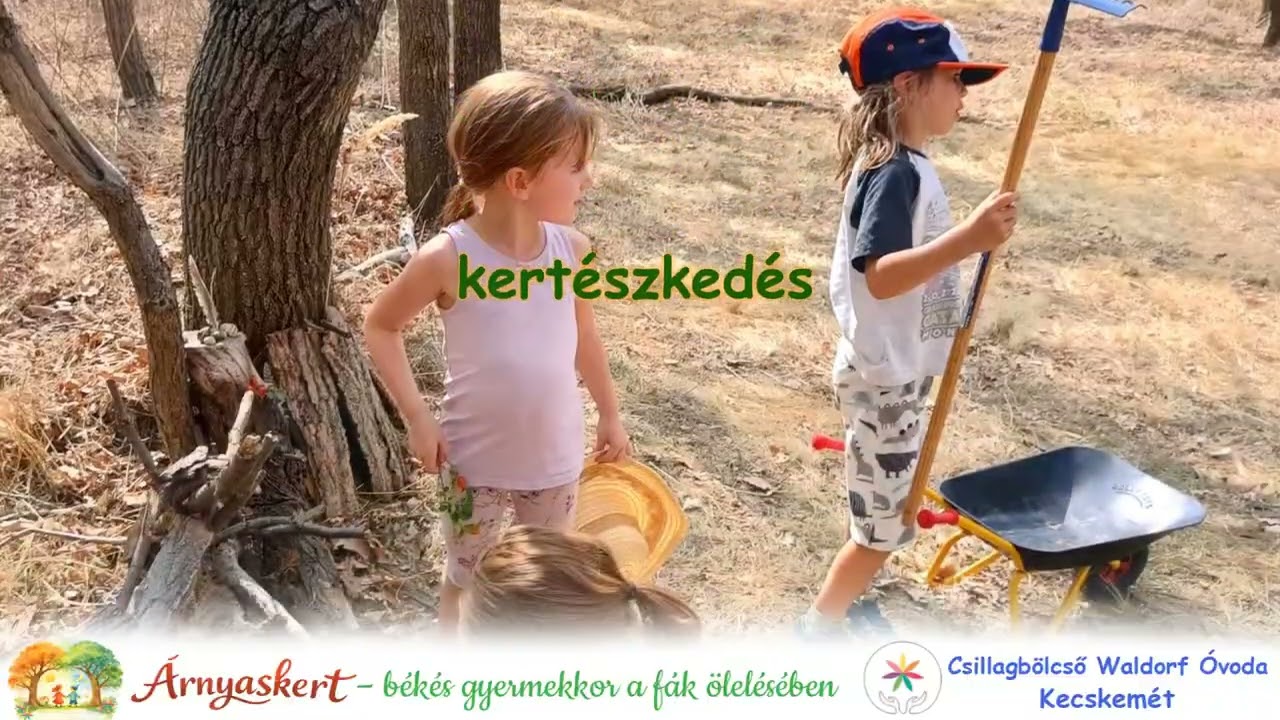 Árnyaskert - Békés gyermekkor a fák ölelésébem