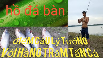 Hồ ĐÁ BÀN . ĐẤT CUỐC . BẮC TÂN UYÊN . Hồ câu cá rộng như sông mêkong tại bình dương .điểm câu lý tưở