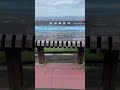 えびの高原🦐霧島ドライブ #shorts #ドライブ #高千穂