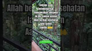 Dengarkan 10x semoga yang mengamalkan sholawat ini Allah berikan kesehatan lahir bathin #shorts