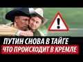 Путин снова в тайге. Что происходит в Кремле